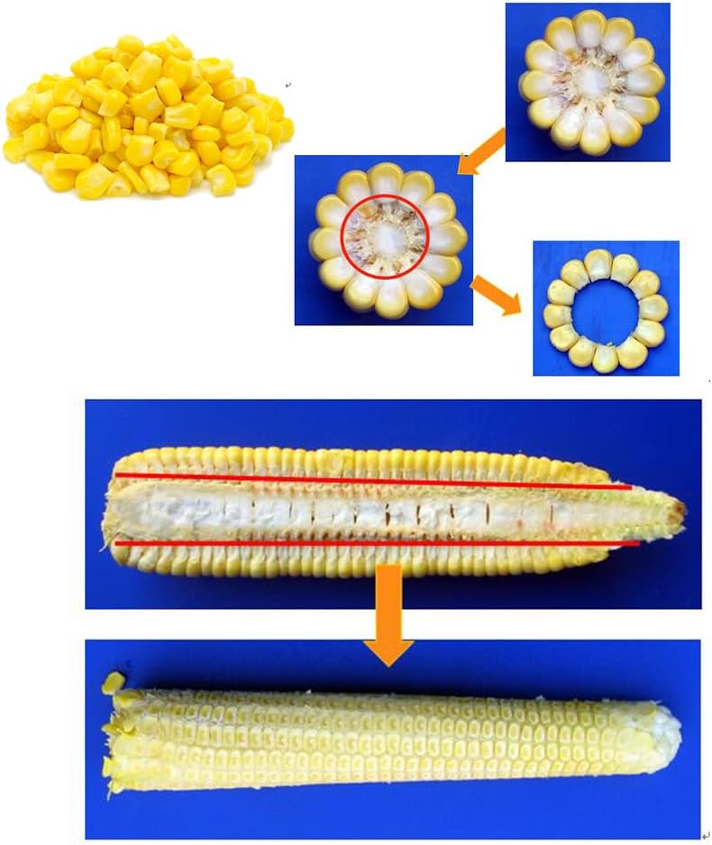 618aNCBNBgL._AC_SL1000_