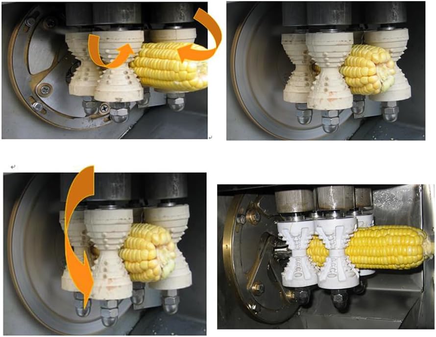 61ZFjrajpAL._AC_SL1000_